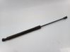 Tailgate/trunk strut/damper 904502915R