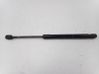 Tailgate/trunk strut/damper 1ST827550B