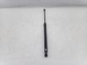 Tailgate/trunk strut/damper 90450JD01C