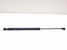Tailgate/trunk strut/damper 844308661R