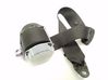 Rear seatbelt F13309838