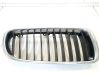 Kühlergrill 51137255412