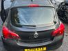 Tailgate rear/tail lights 