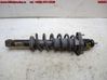 Rear shock absorber/damper 