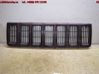 Front bumper lower grill 