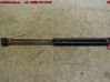 Tailgate strut 15029087