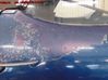 Rear door 