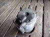 Air conditioning (A/C) compressor (pump) 