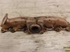 Exhaust manifold 30757870