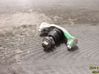 Front ball joint 32221192