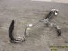 Engine coolant pipe/hose 204765205R