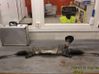 Steering rack 36002017
