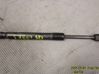 Tailgate strut 31278321