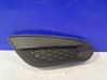 Front grill 31294130