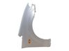 Fender C10052111J