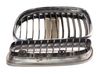 Front grill 51137201969