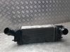 Radiador intercooler 00000384K8