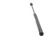 Tailgate/trunk strut/damper 00008731H8
