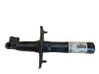 Front shock absorber/damper 7055336