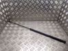 Front bonnet/hood damper/strut 31218478