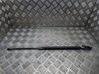 Tailgate/trunk strut/damper 689600W091A