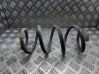 Feder vorne 