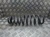 Front coil spring 