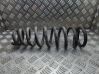 Front coil spring 