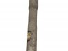 Rear shock absorber/damper 33521094046