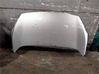 Engine bonnet/hood 169A1000