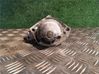 Starter motor 361002A550