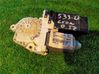 Motor del regulador de la ventanilla de la puerta delantera 1C0959801B