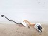 In-tank fuel pump 8W0201317F