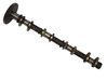 Camshaft 1271054G11
