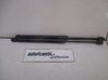 Front bonnet/hood damper/strut 904520004R