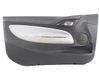 Front door card panel trim PNASTCTDS3BR3P