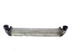 Radiador intercooler A1695000000