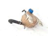 Coolant expansion tank/reservoir 55700508