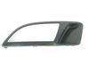 Front fog light trim/grill 735414656