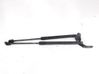 Front bonnet/hood damper/strut 19094