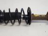 Front shock absorber with coil spring DR1S