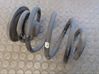 Rear coil spring 4543021