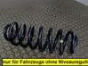 Rear coil spring 