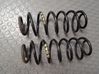Rear coil spring 