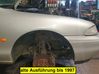Fender 6678468