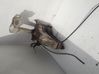 Windshield washer fluid reservoir/tank 
