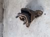 Engine mount bracket 93BB6P072AE