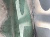 Front door window glass four-door 