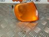 Front bumper turn signal 