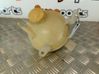 Coolant expansion tank/reservoir 